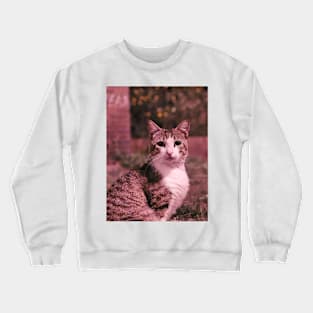 Cat Crewneck Sweatshirt